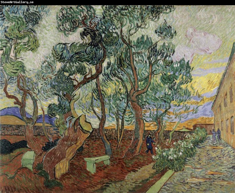 Vincent Van Gogh The Garden of the Asylum in St.Remy